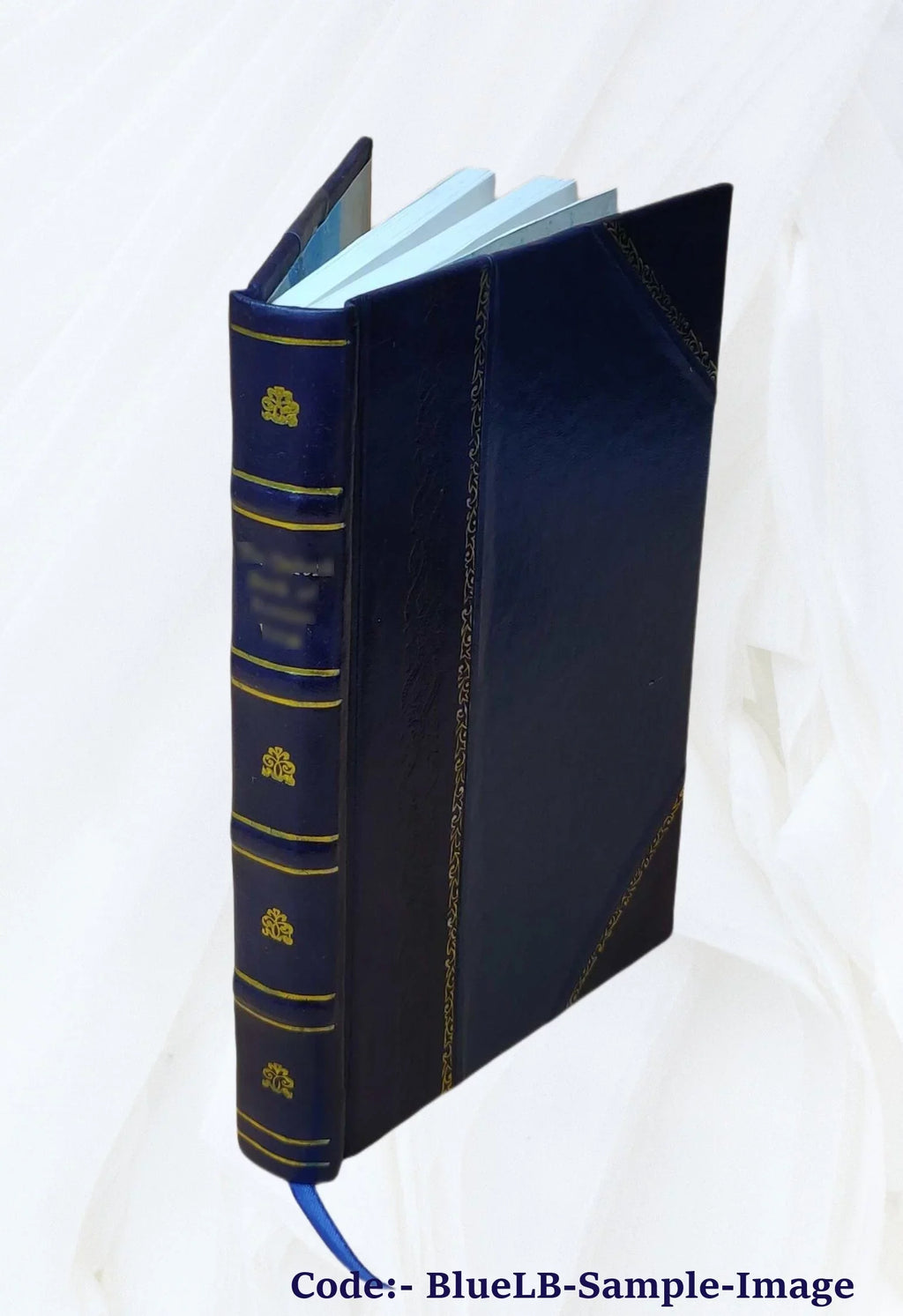 1860 [Leather Bound]. O neos Robinson