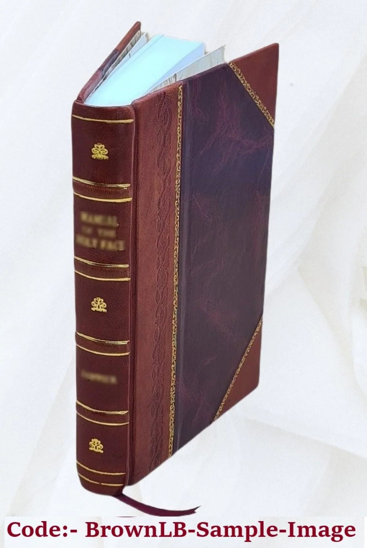 1 1926 [Leather Bound]. Volume v. Voyageurs d'Orient