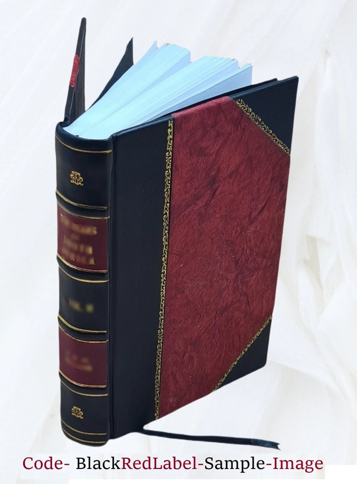 Squire Sprigge 1902 [Leather Bound]. With a prefatory note by S. Autobiography
