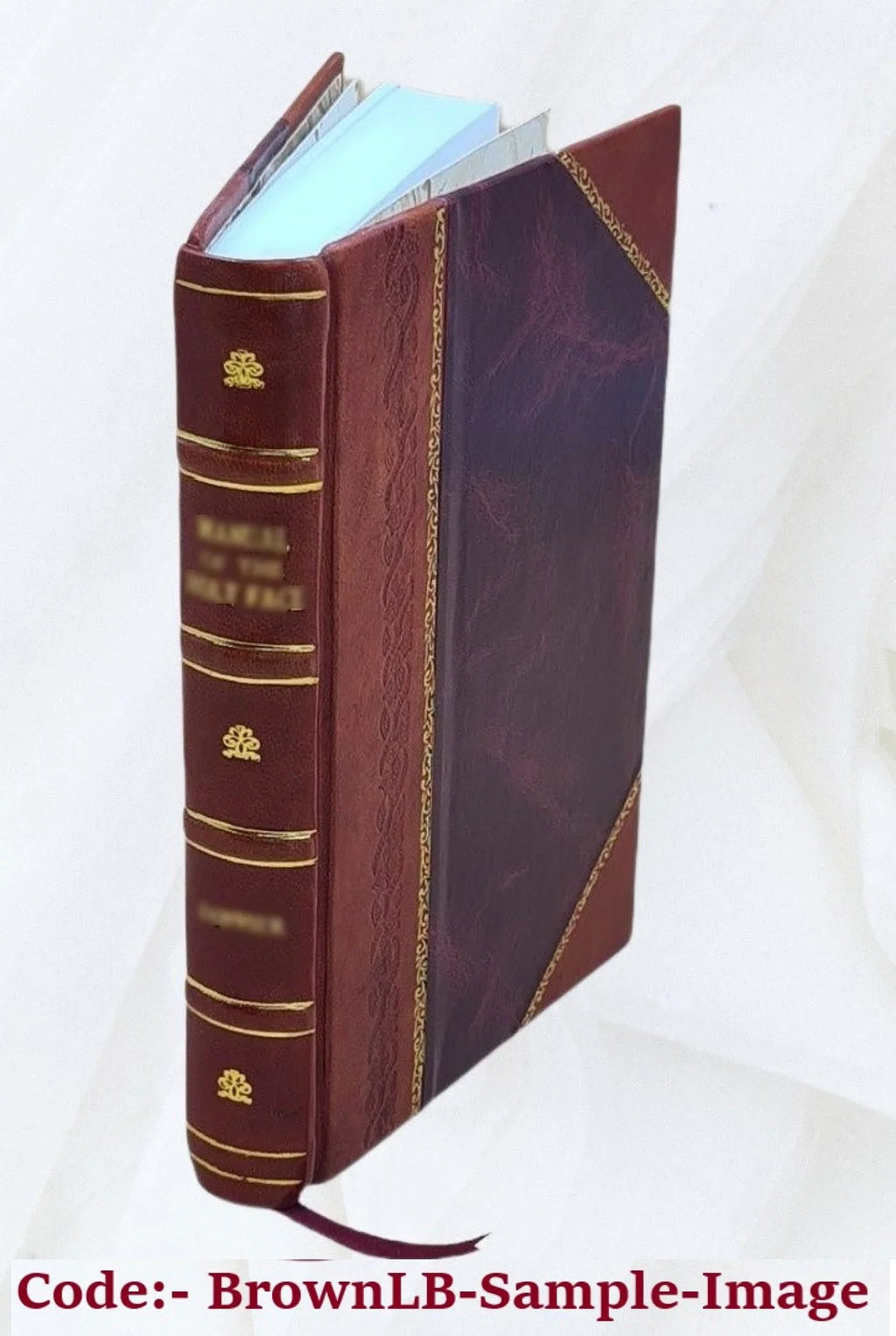 6-11 (1911) 1894 [Leather Bound]. 5 no. 6 t. Izviestiia Imperatorskoi akademii nauk = Bulletin de l'Académie impériale des sciences de St.-Pétersbourg Volume ser