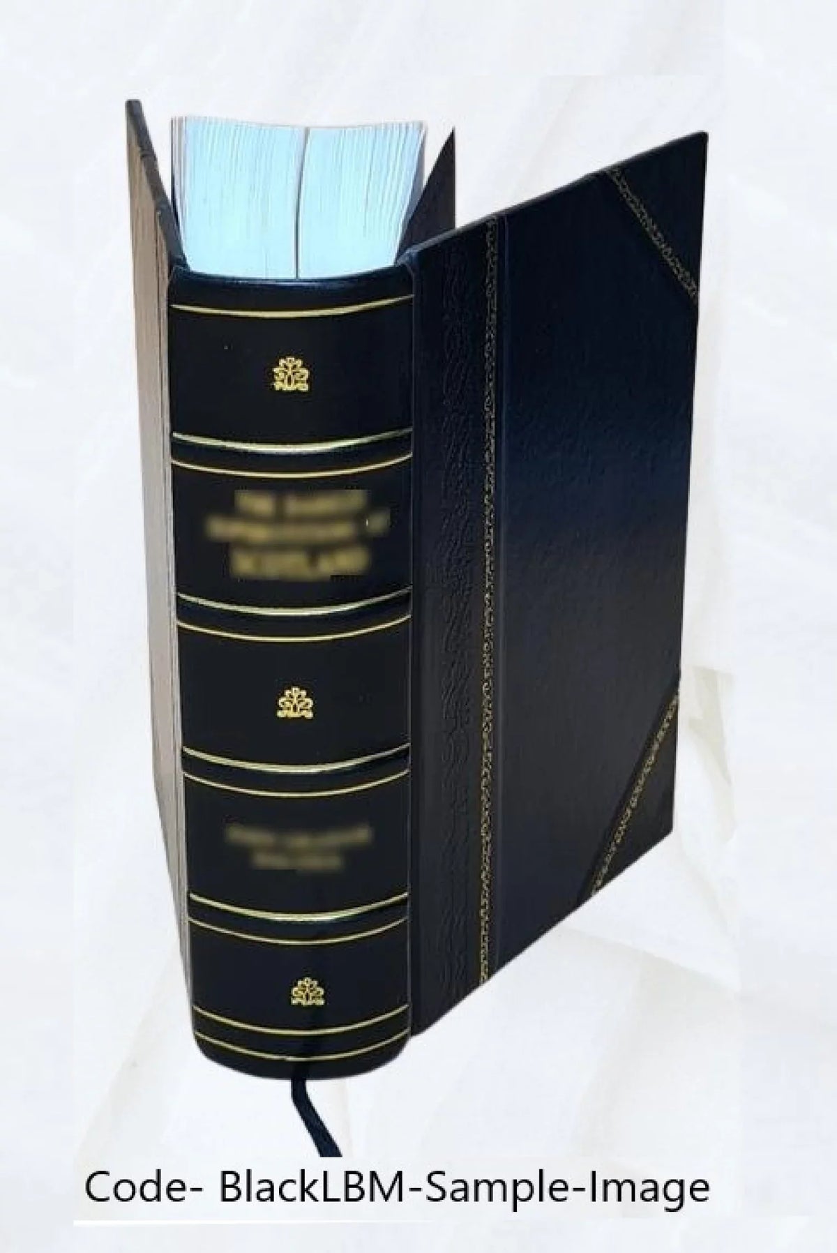 Histoire naturelle générale et particuliere avec la description du Cabinet du Roy : tome premier 1750 [Leather Bound]